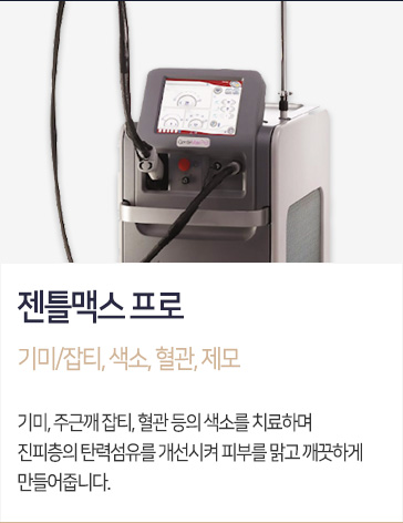 젠틀맥스